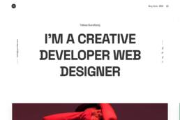 Developer Portfolio WordPress